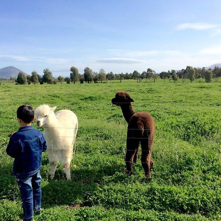 Taras Richmond Farmstay Campania Zewnętrze zdjęcie