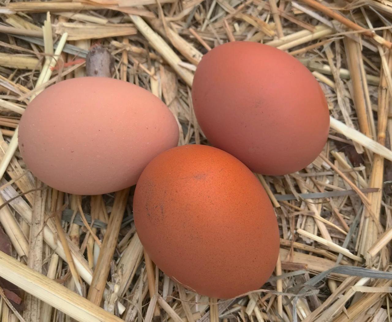 Taras Richmond Farmstay Campania Zewnętrze zdjęcie
